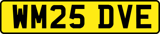 WM25DVE