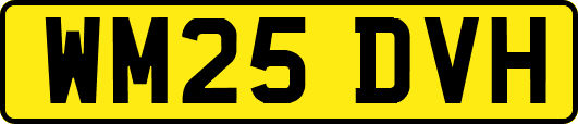 WM25DVH