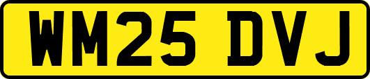WM25DVJ