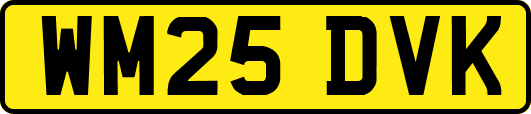 WM25DVK