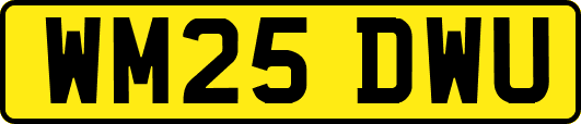 WM25DWU