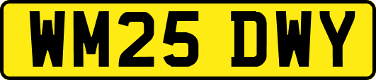 WM25DWY