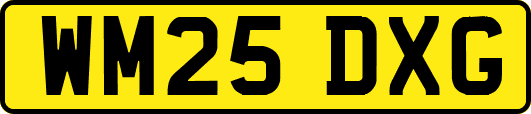 WM25DXG