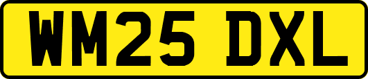WM25DXL