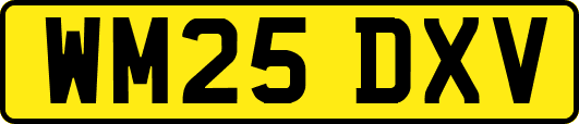 WM25DXV