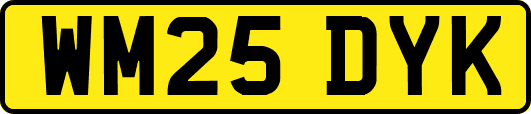 WM25DYK