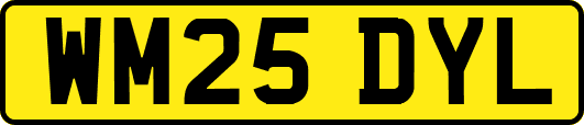 WM25DYL