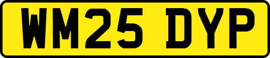 WM25DYP