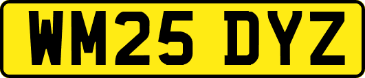 WM25DYZ