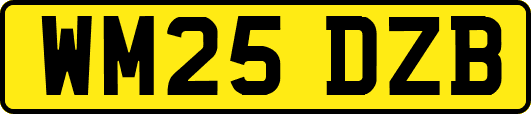 WM25DZB