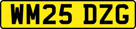 WM25DZG