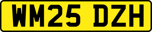 WM25DZH