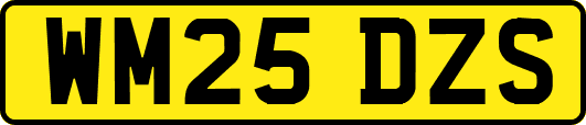 WM25DZS