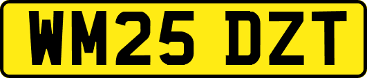 WM25DZT