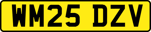 WM25DZV