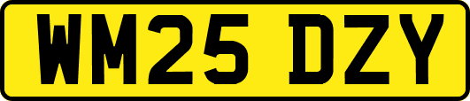 WM25DZY