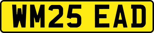 WM25EAD