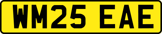 WM25EAE
