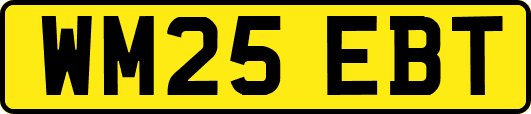 WM25EBT