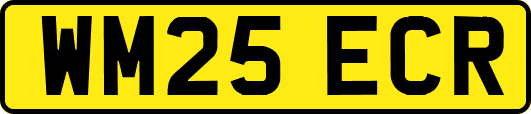 WM25ECR