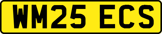 WM25ECS