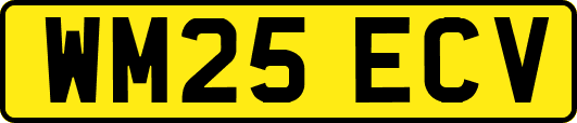 WM25ECV