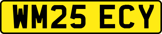 WM25ECY