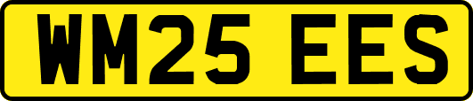WM25EES