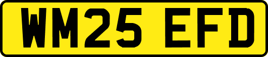 WM25EFD