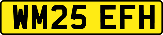 WM25EFH