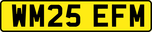 WM25EFM