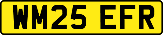 WM25EFR
