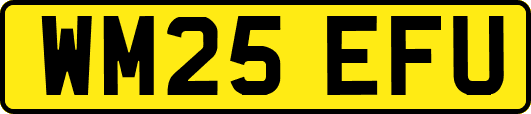 WM25EFU