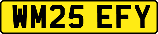 WM25EFY