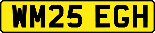WM25EGH