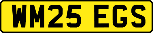 WM25EGS