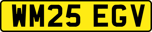 WM25EGV