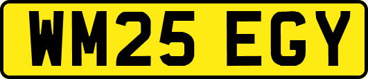 WM25EGY