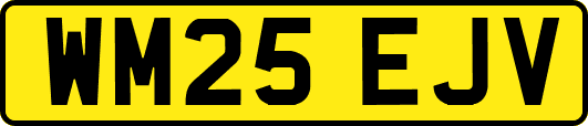 WM25EJV
