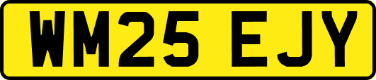 WM25EJY