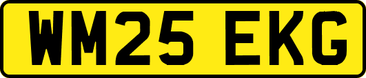WM25EKG