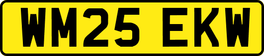 WM25EKW
