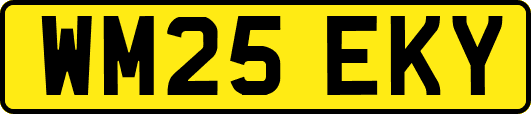 WM25EKY