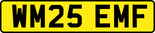 WM25EMF