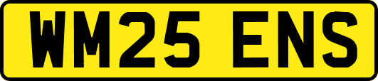 WM25ENS