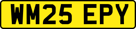 WM25EPY