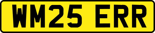 WM25ERR
