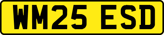WM25ESD