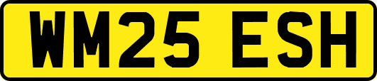 WM25ESH