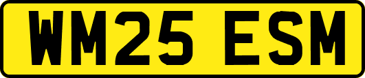 WM25ESM